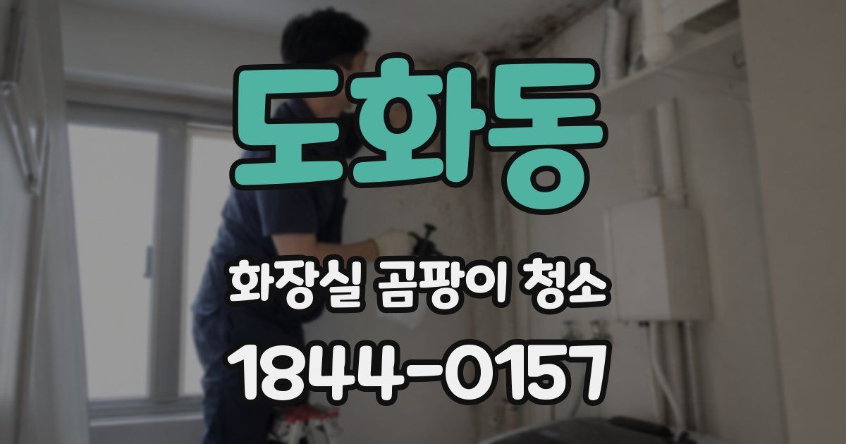 도화동 화장실 곰팡이 청소