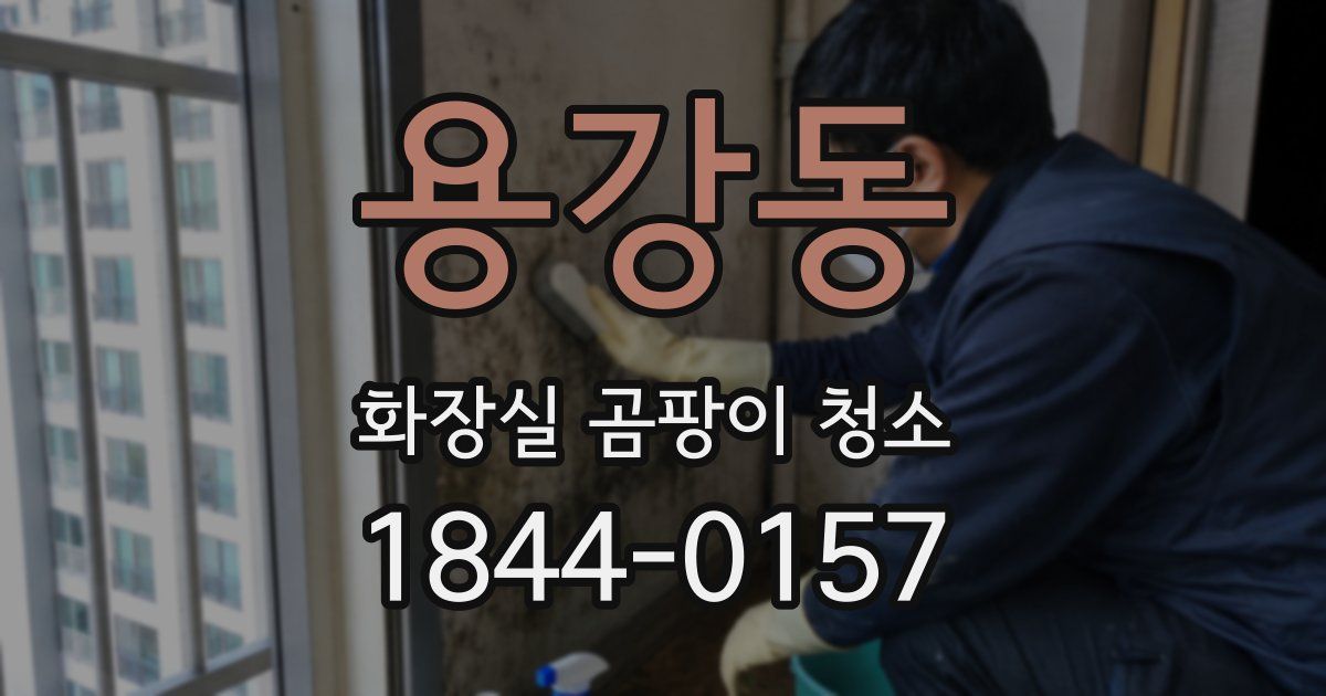 용강동 화장실 곰팡이 청소