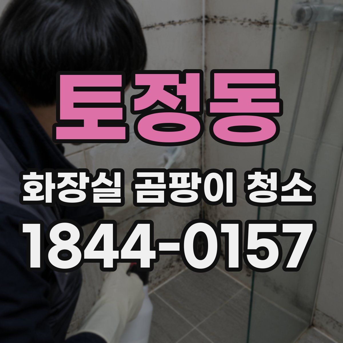 토정동 화장실 곰팡이 청소
