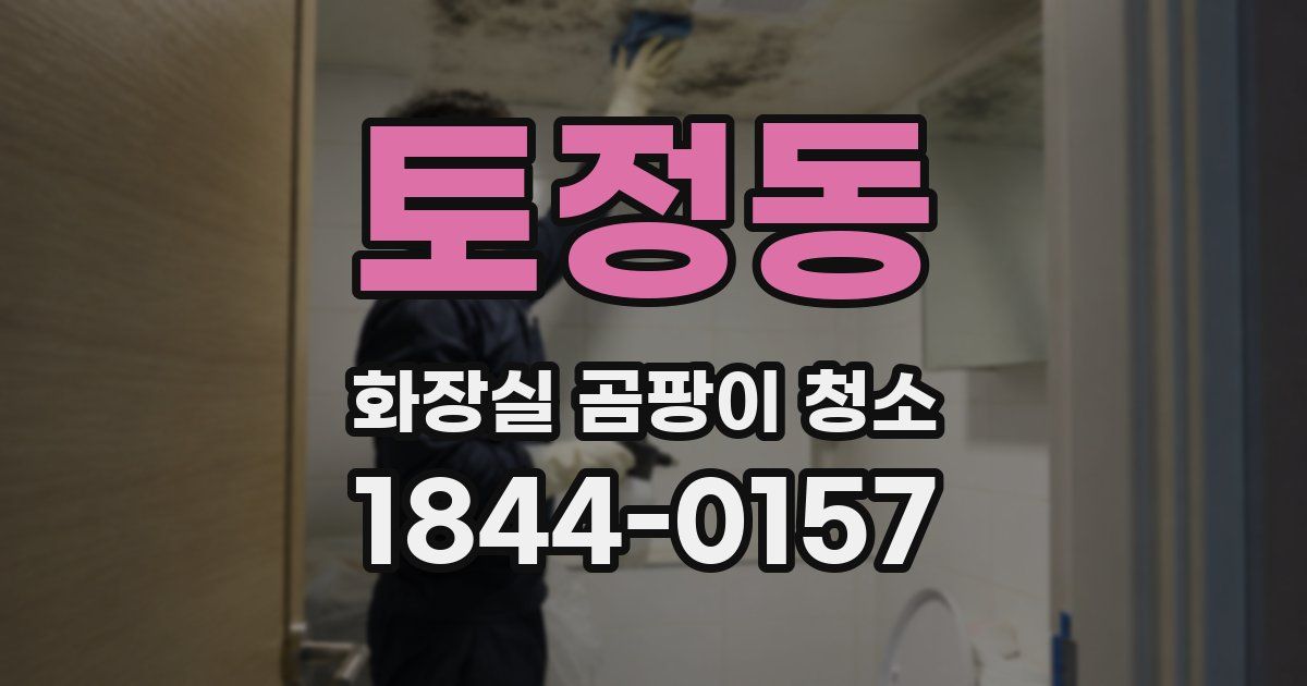 토정동 화장실 곰팡이 청소
