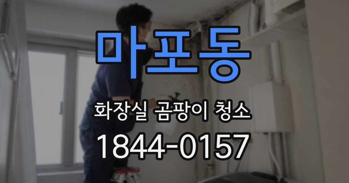 마포동 화장실 곰팡이 청소