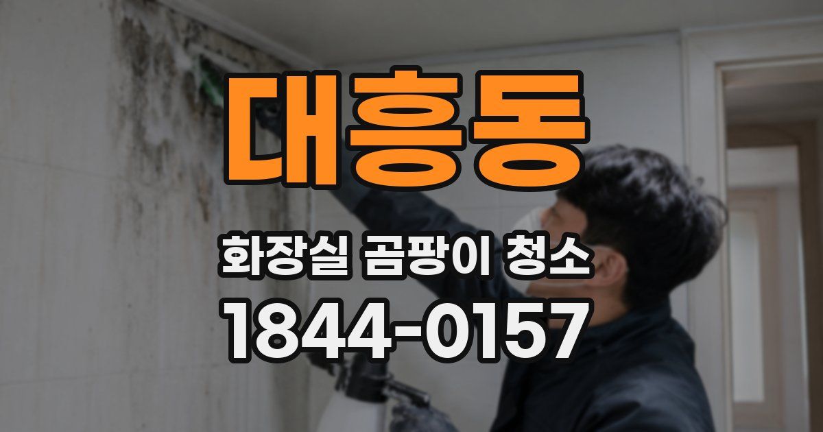 대흥동 화장실 곰팡이 청소