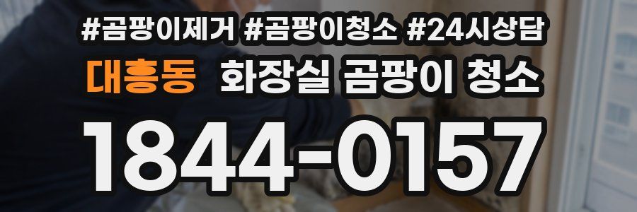 대흥동 화장실 곰팡이 청소
