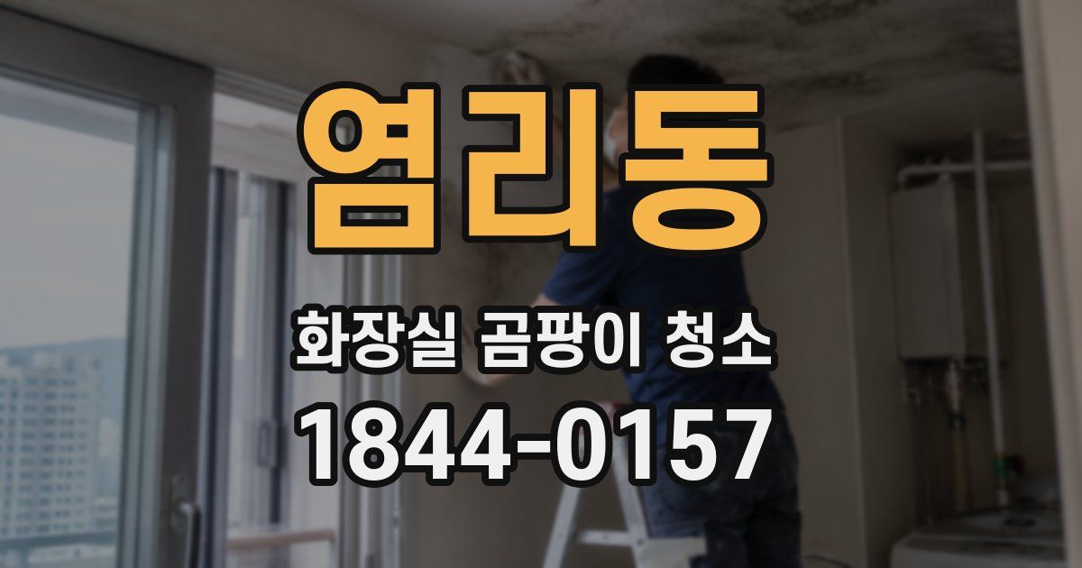 염리동 화장실 곰팡이 청소