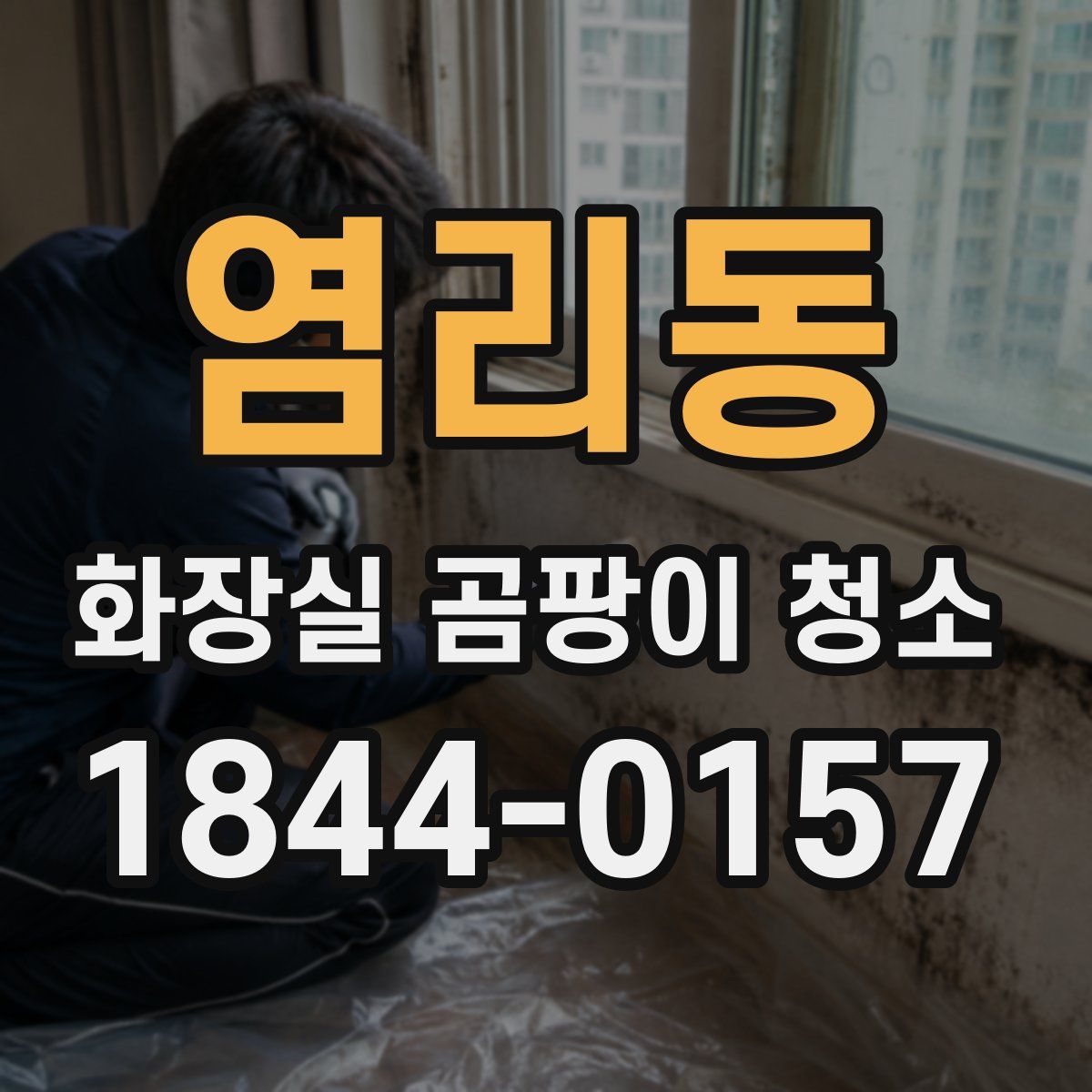염리동 화장실 곰팡이 청소