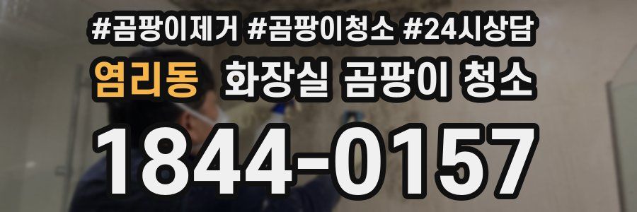 염리동 화장실 곰팡이 청소