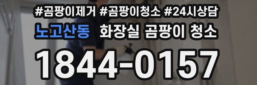 노고산동 화장실 곰팡이 청소