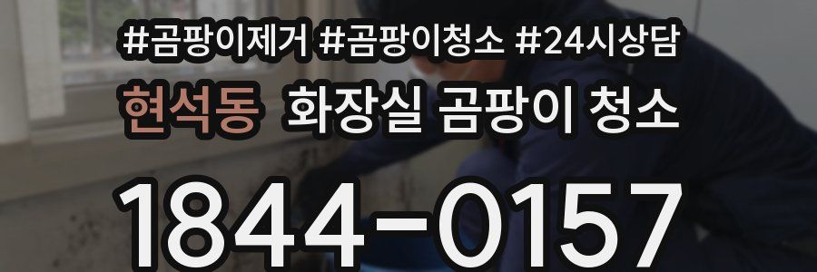 현석동 화장실 곰팡이 청소