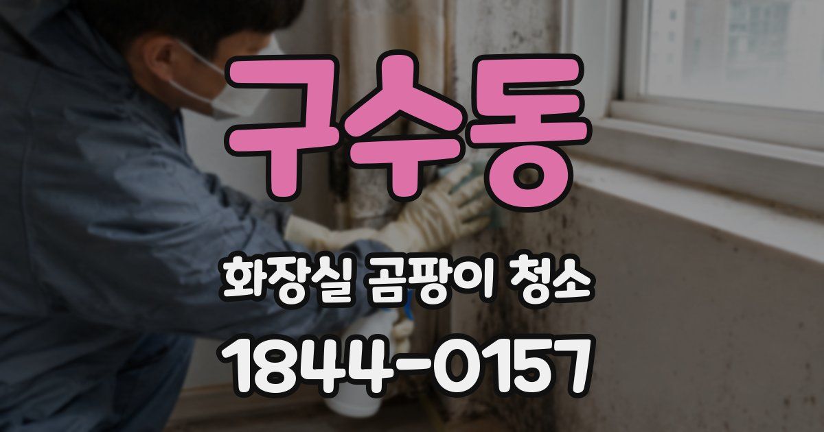 구수동 화장실 곰팡이 청소