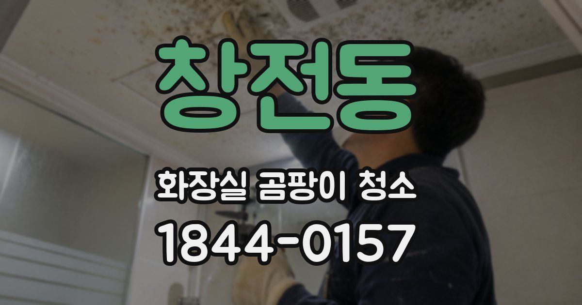 창전동 화장실 곰팡이 청소
