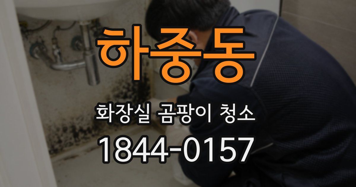 하중동 화장실 곰팡이 청소