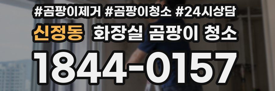 신정동 화장실 곰팡이 청소