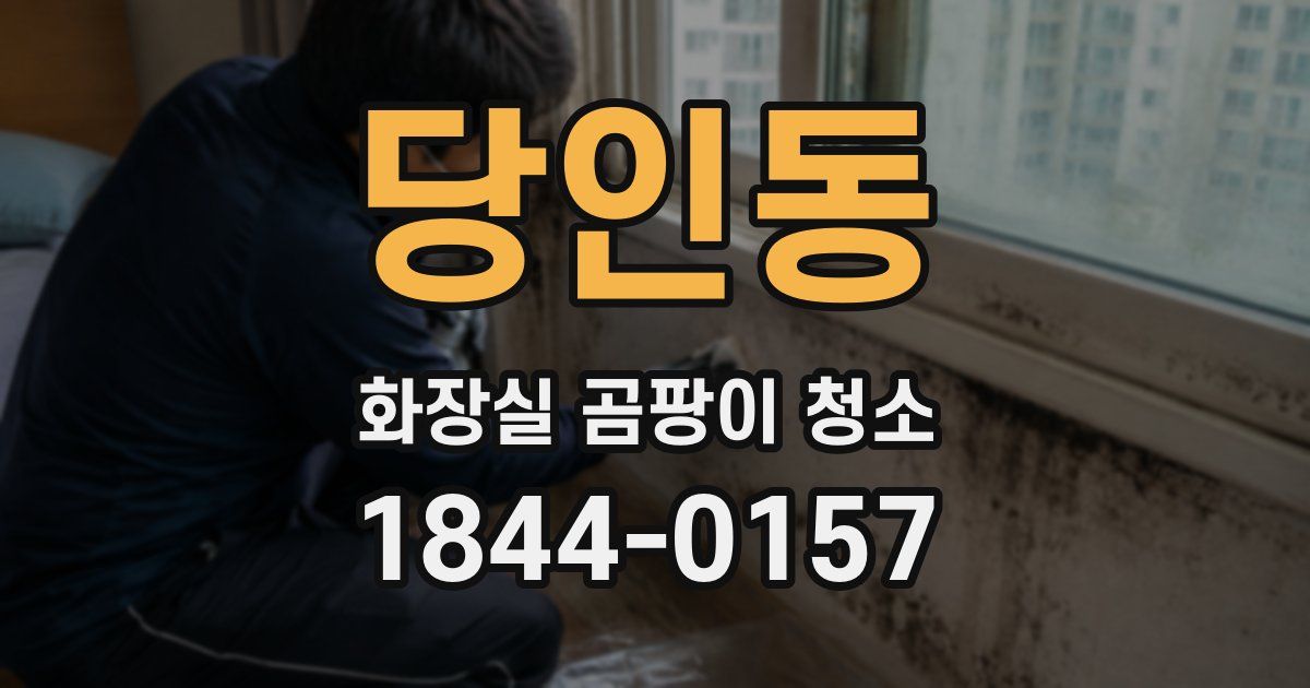 당인동 화장실 곰팡이 청소