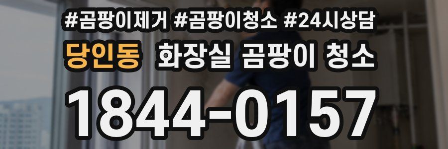 당인동 화장실 곰팡이 청소