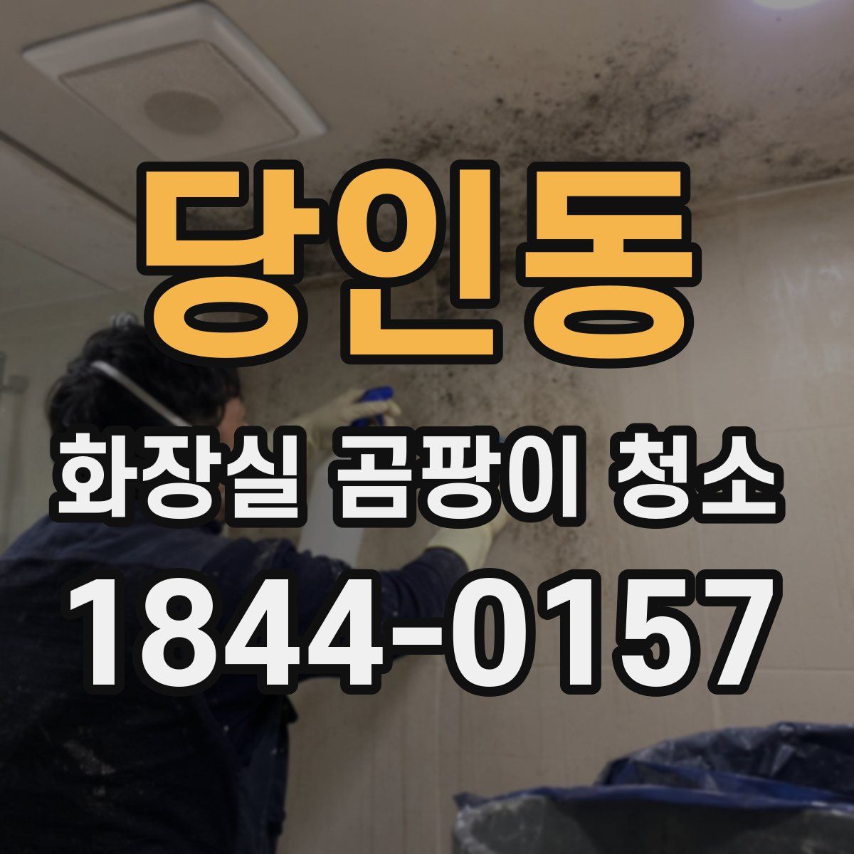 당인동 화장실 곰팡이 청소