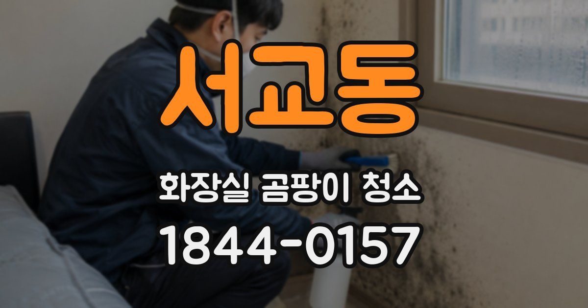 서교동 화장실 곰팡이 청소