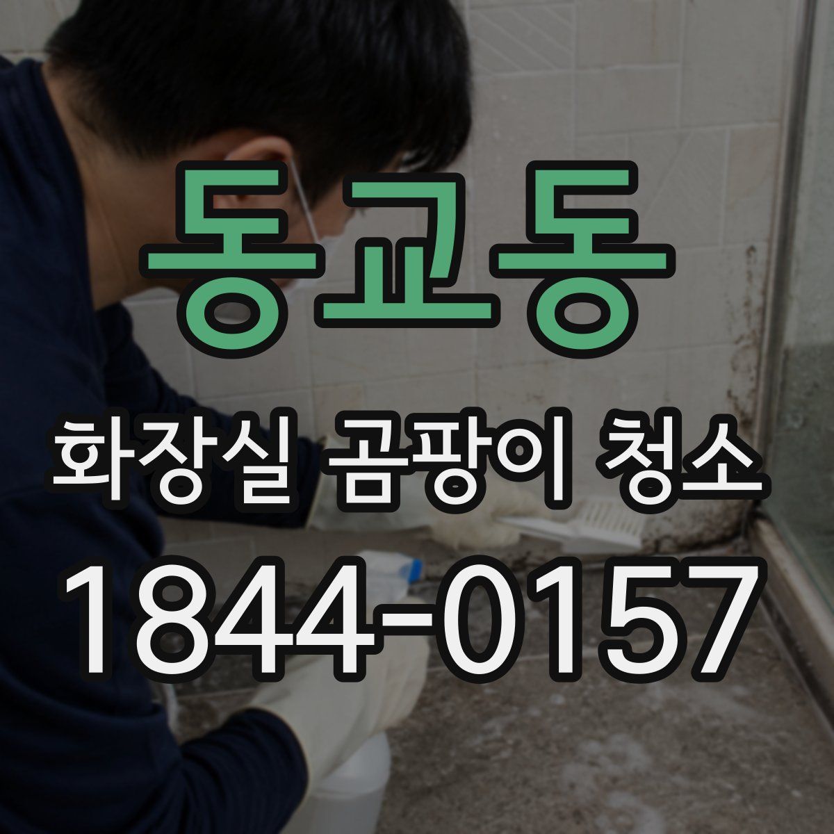 동교동 화장실 곰팡이 청소