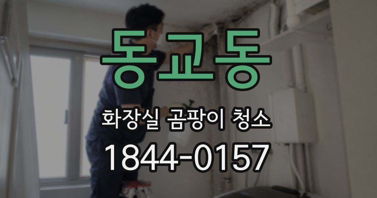동교동 화장실 곰팡이 청소