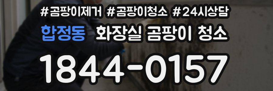 합정동 화장실 곰팡이 청소