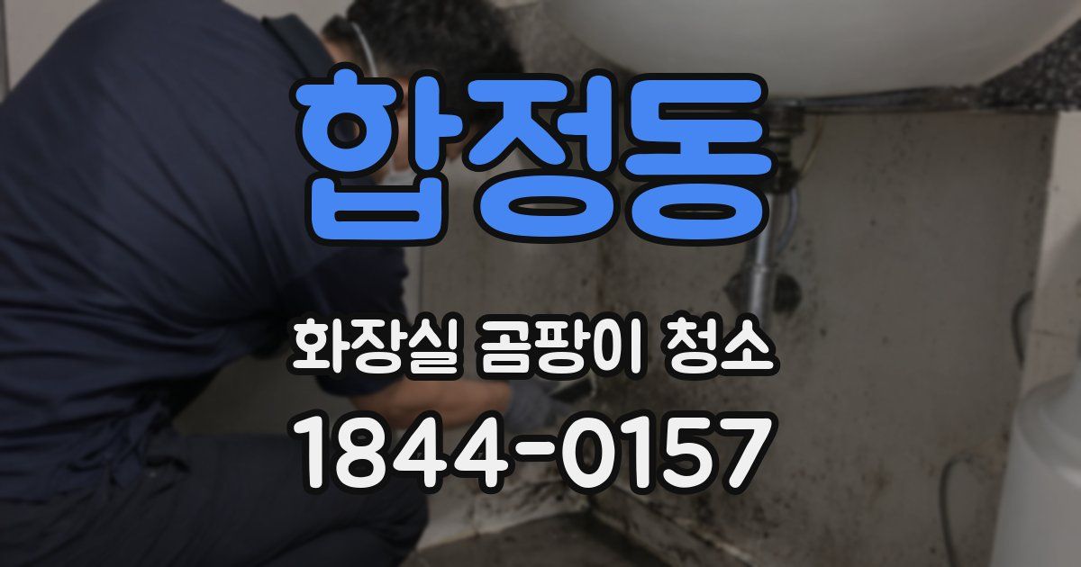 합정동 화장실 곰팡이 청소