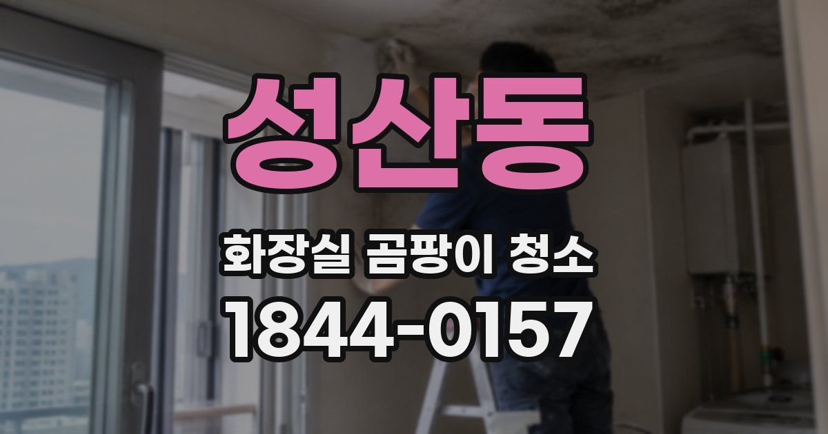 성산동 화장실 곰팡이 청소