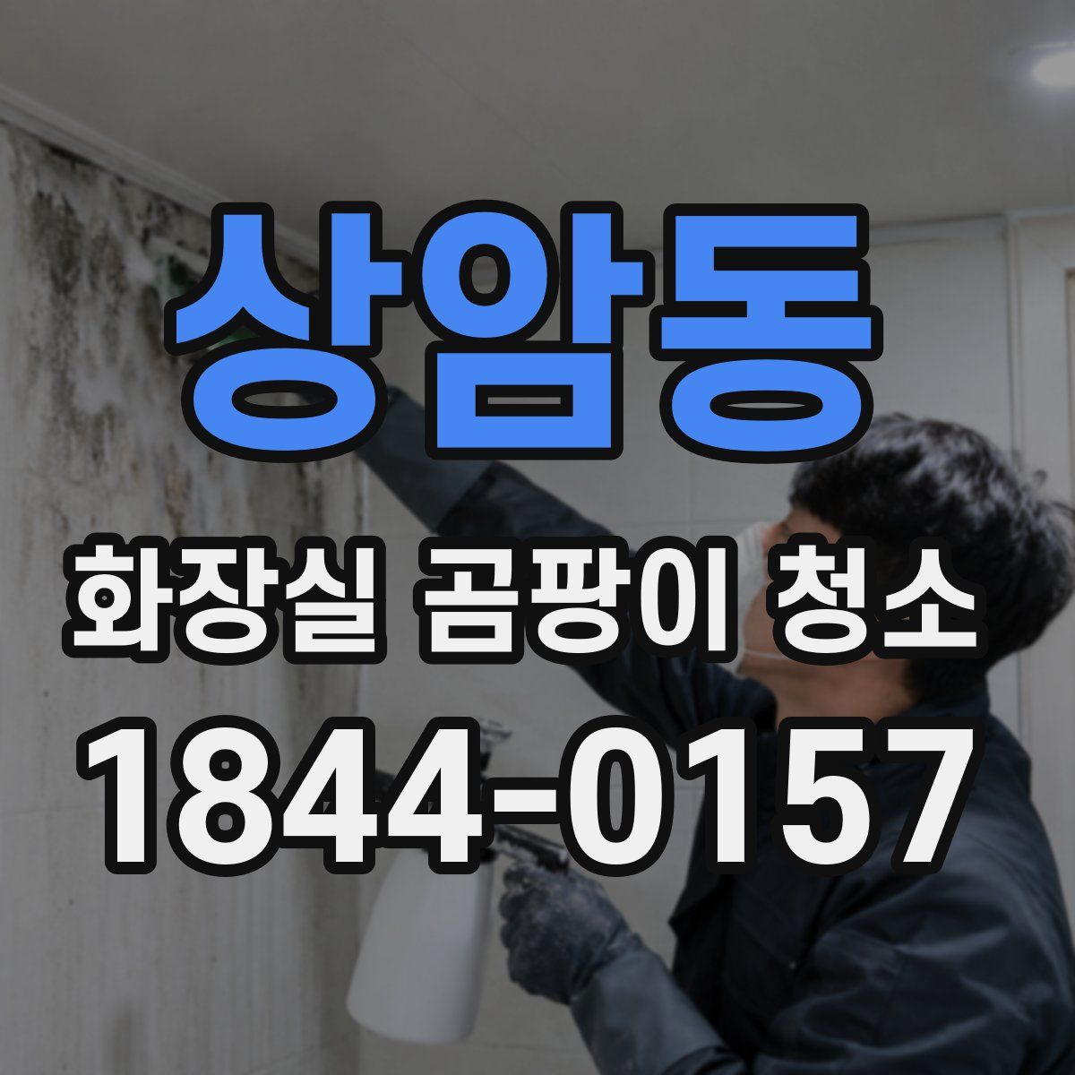 상암동 화장실 곰팡이 청소