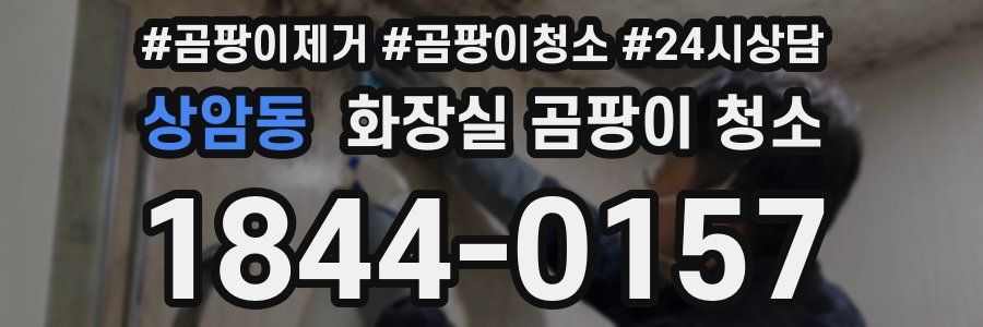 상암동 화장실 곰팡이 청소