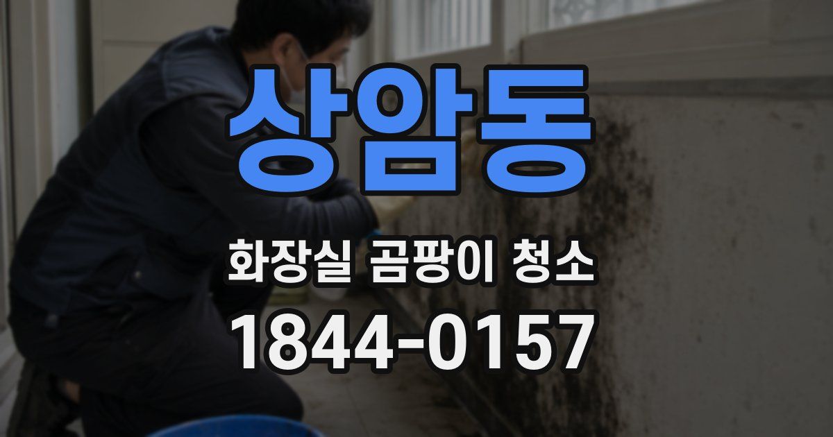 상암동 화장실 곰팡이 청소