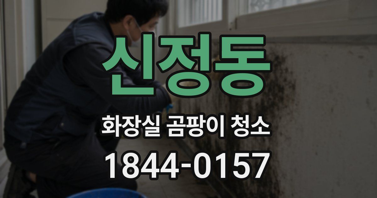 신정동 화장실 곰팡이 청소
