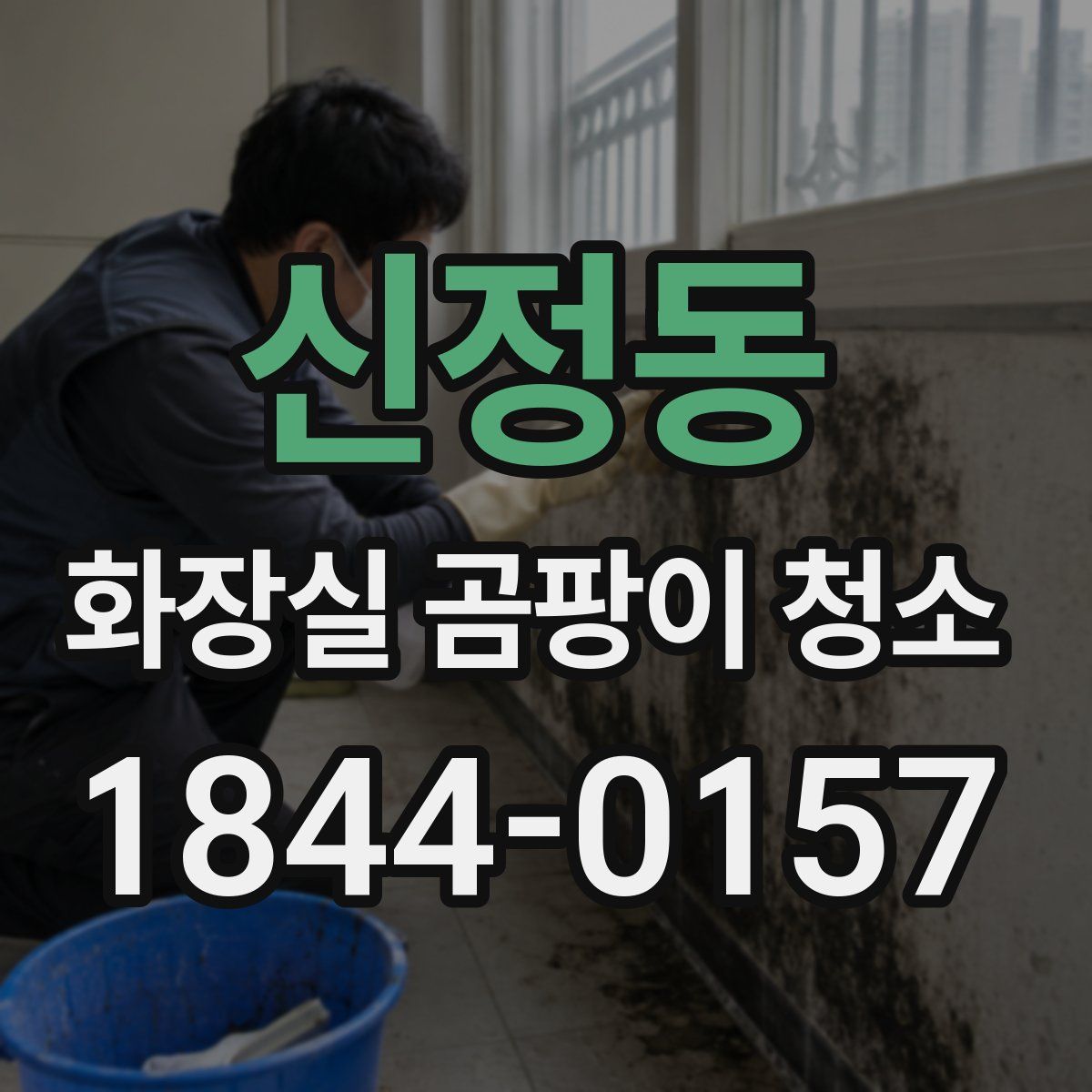 신정동 화장실 곰팡이 청소