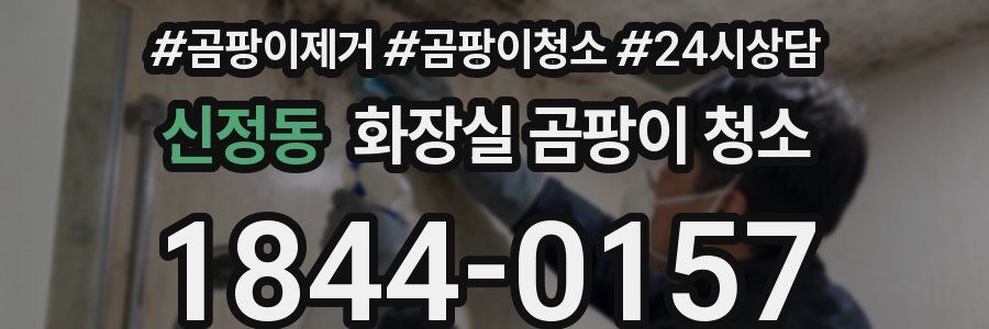 신정동 화장실 곰팡이 청소