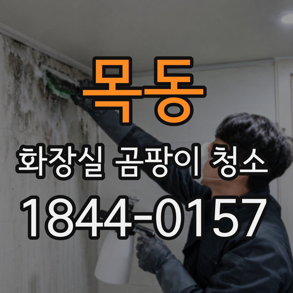 목동 화장실 곰팡이 청소