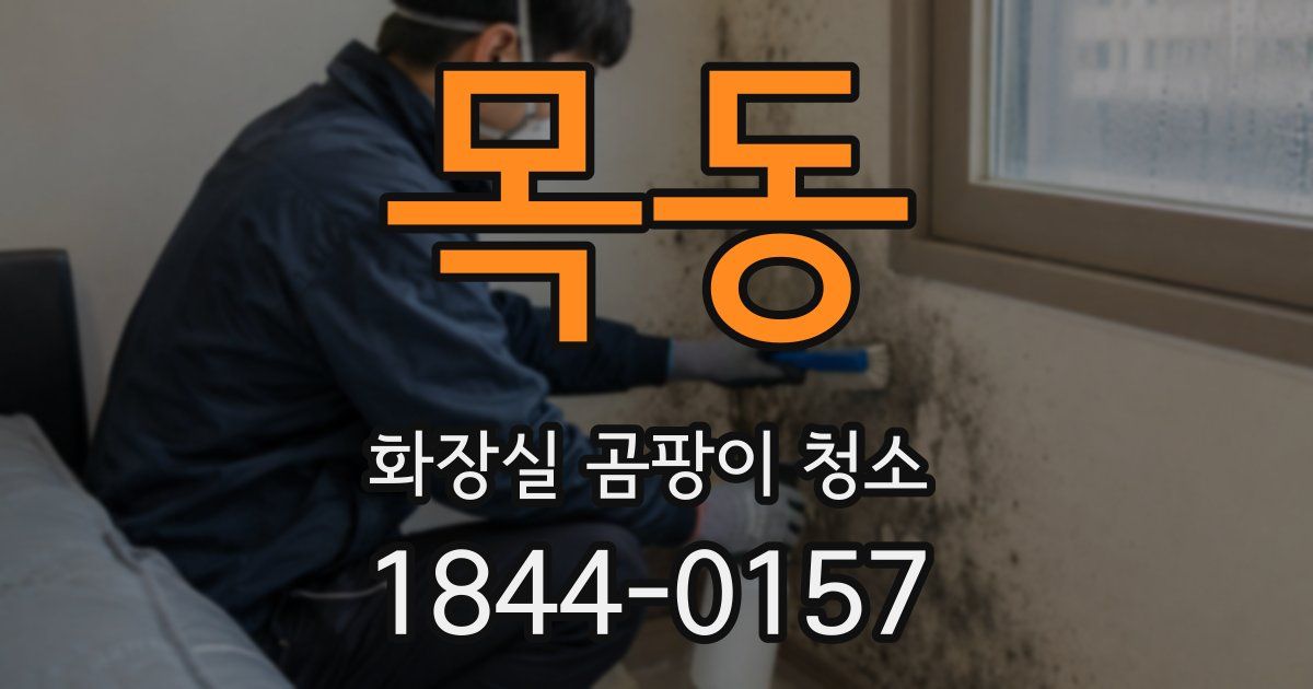 목동 화장실 곰팡이 청소