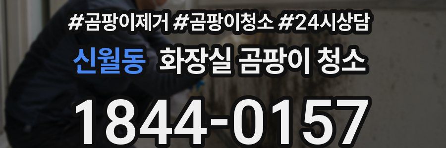 신월동 화장실 곰팡이 청소