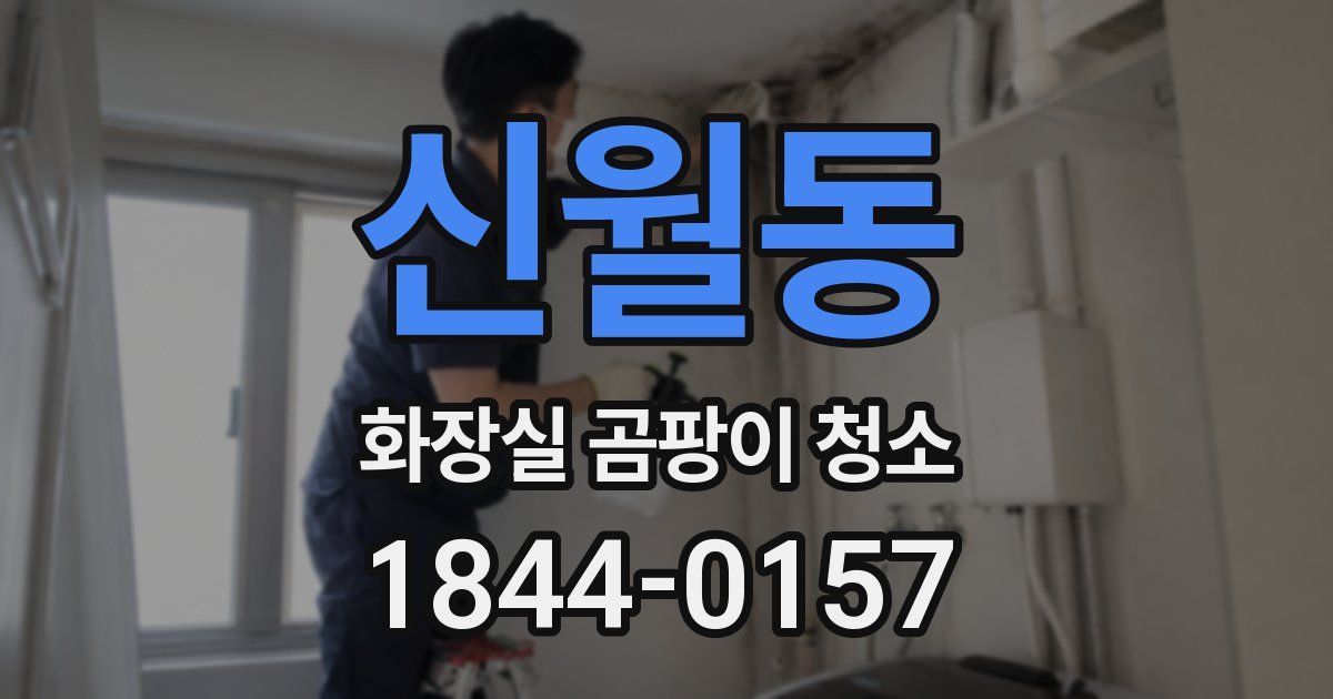 신월동 화장실 곰팡이 청소