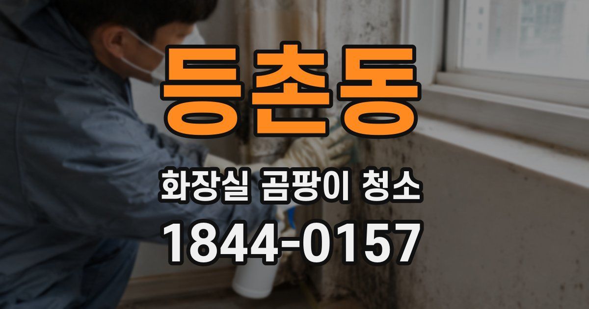 등촌동 화장실 곰팡이 청소