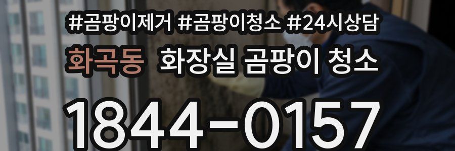 화곡동 화장실 곰팡이 청소