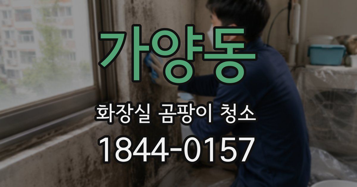 가양동 화장실 곰팡이 청소