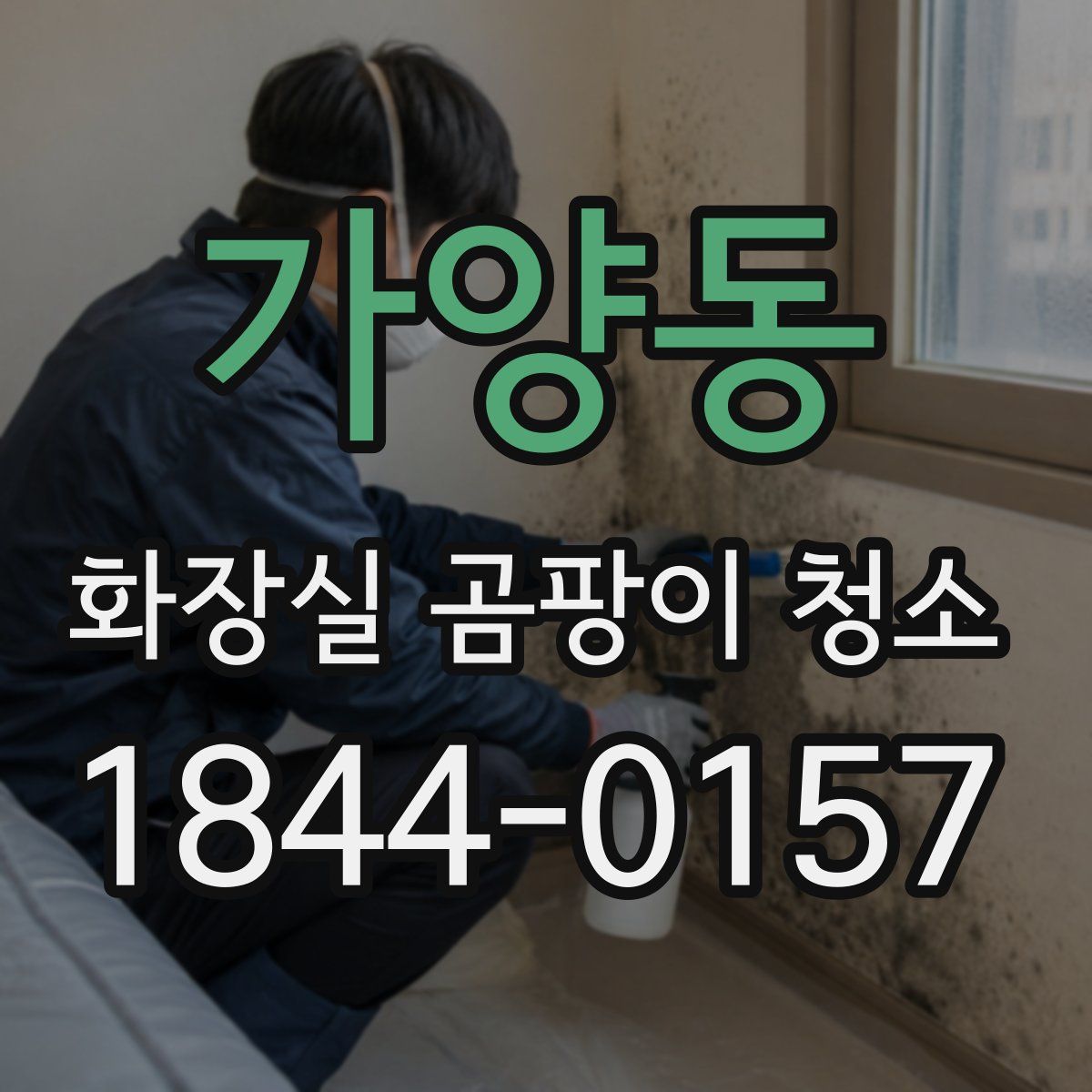 가양동 화장실 곰팡이 청소