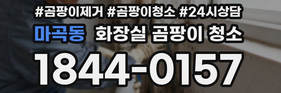 마곡동 화장실 곰팡이 청소