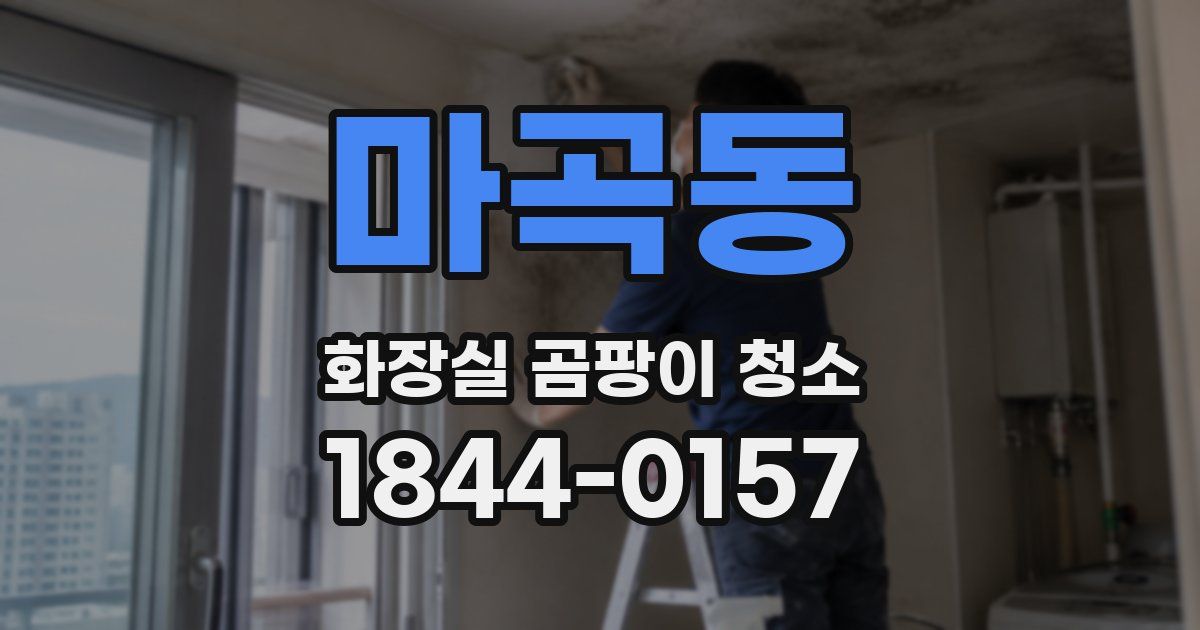 마곡동 화장실 곰팡이 청소