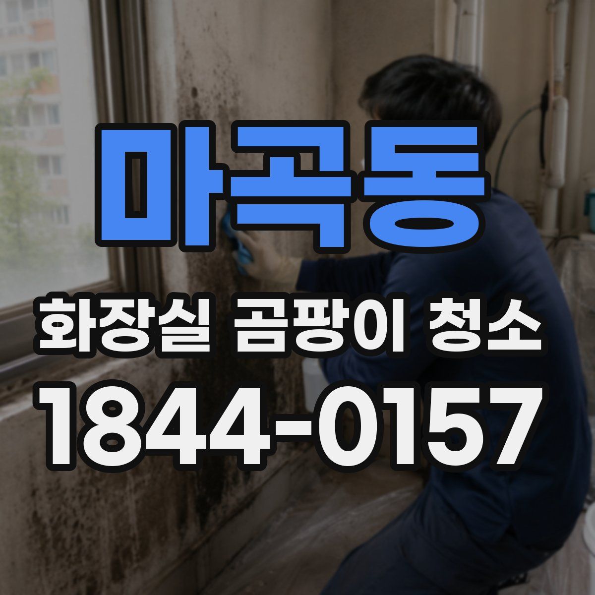 마곡동 화장실 곰팡이 청소