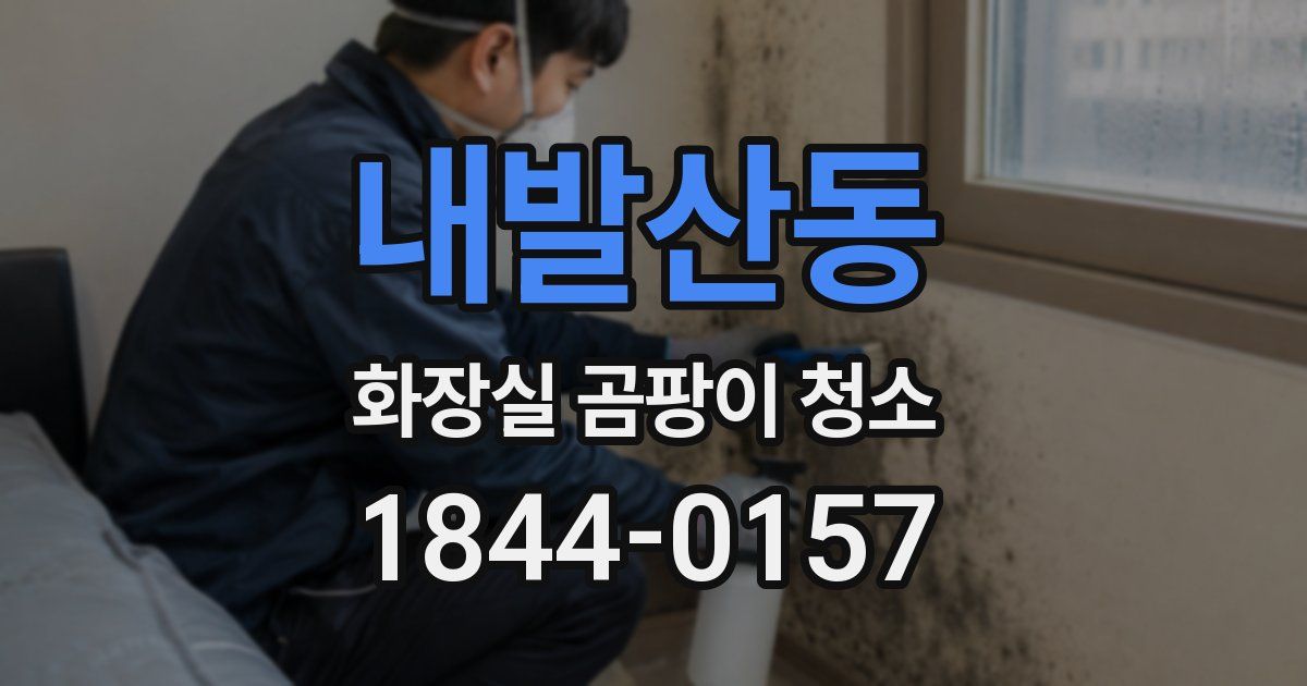 내발산동 화장실 곰팡이 청소
