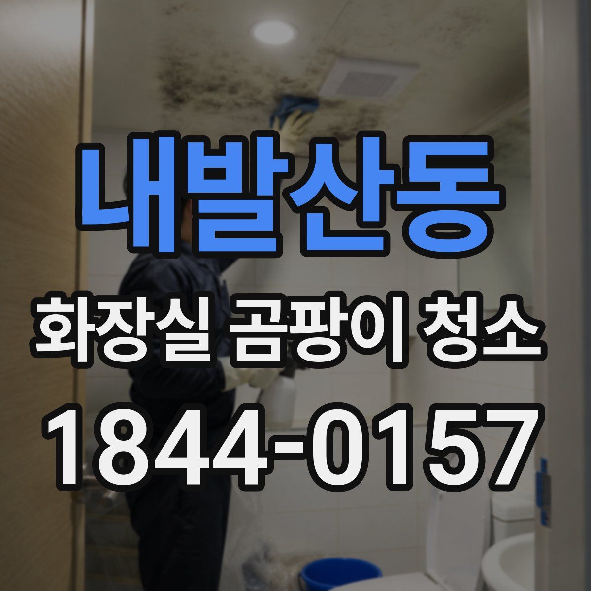 내발산동 화장실 곰팡이 청소