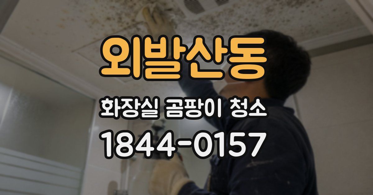 외발산동 화장실 곰팡이 청소