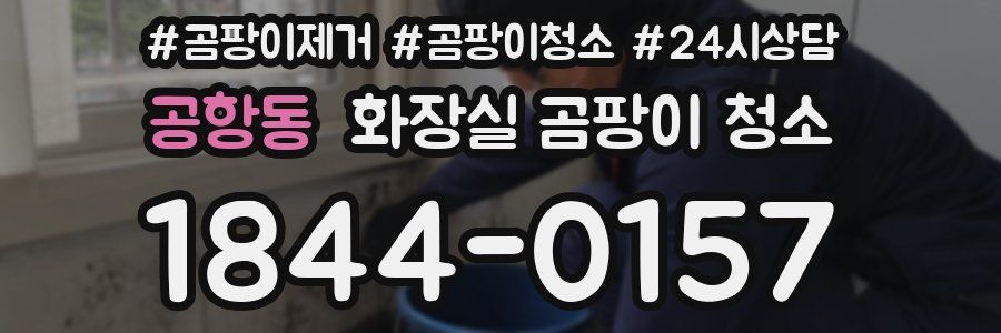 공항동 화장실 곰팡이 청소