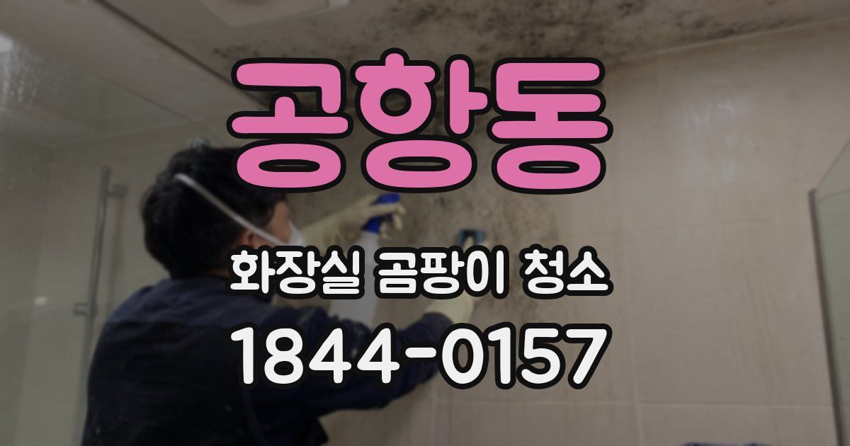 공항동 화장실 곰팡이 청소