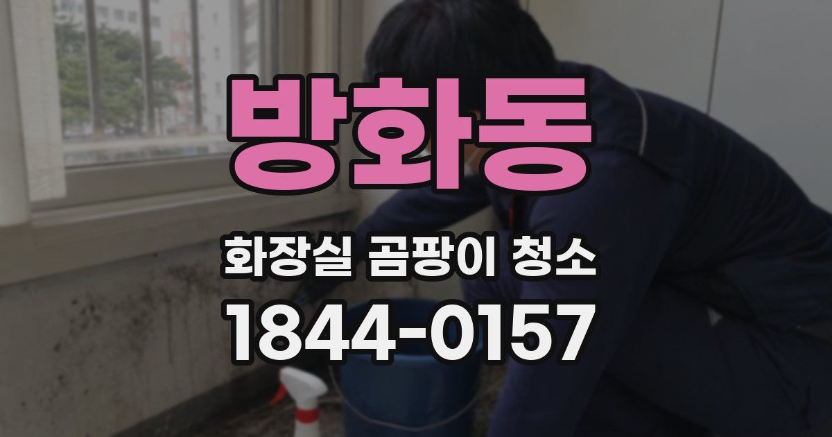 방화동 화장실 곰팡이 청소
