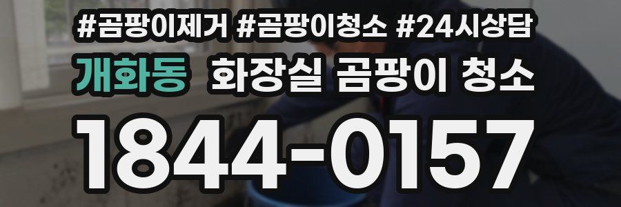 개화동 화장실 곰팡이 청소