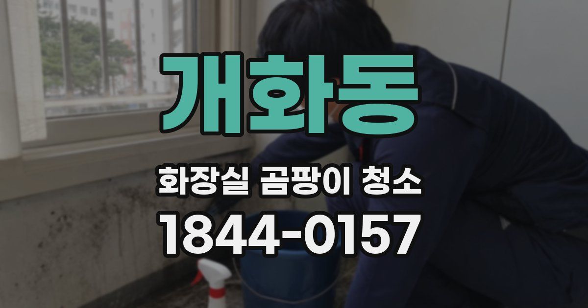 개화동 화장실 곰팡이 청소